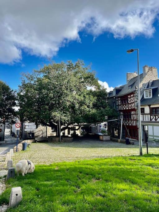 Le Cottage Breton, Hypercentre Historique Stb 쎙브히육 외부 사진